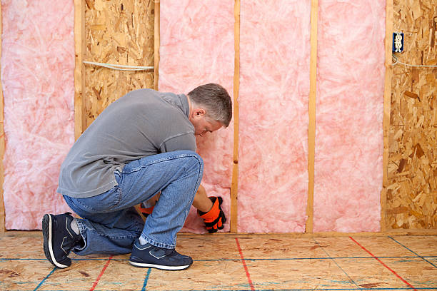 Best Types of Insulation in Carney, MD