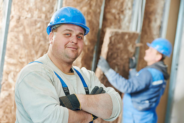 Best Energy Efficiency Solutions in Carney, MD